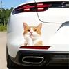 Waterproof Creative Car Sticker - Cute Cartoon Orange Cat Decal Pet-Themed Home & Auto Decor