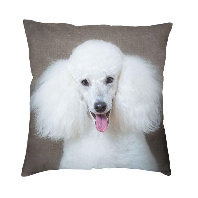 Роскошный чехол для подушки с изображением пуделя 50*50 см, полиэстер, наволочка для любовника собак, постельные принадлежности, диван, наволочка