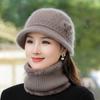 Autumn and Winter Hat Female Rabbit Hair Knitted Basin Hat Winter  Mother Hat