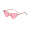 Sexy Women Vintage Cat Eye Sunglasses Fashion Small Frame UV400 Sun Shades Glasses Street Eyewear Cycling Driving Goggles