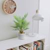 WillingYou Fake Green Tabletop Mini Artificial Fake Potted Plant Tropical Palm Tree Height inches with Pot Stylish Interior Goods No Care Required No