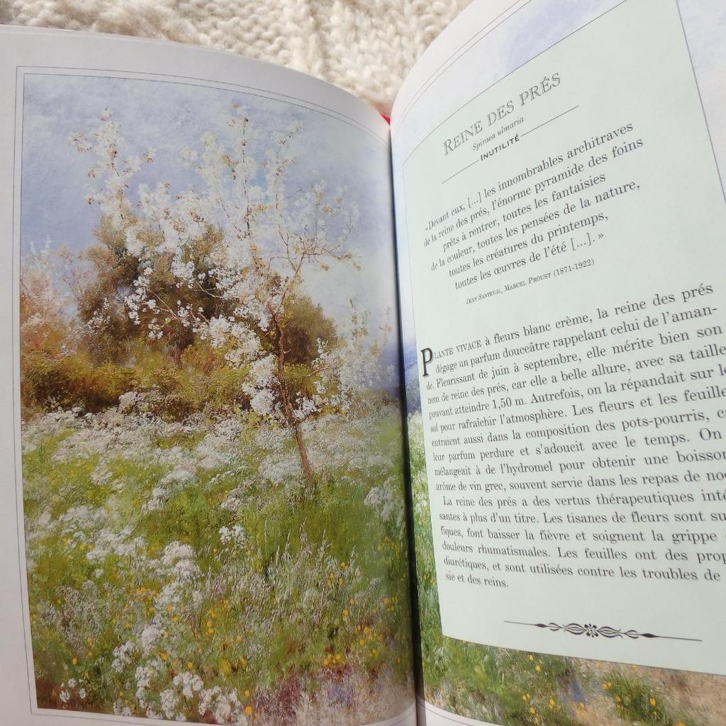 [Б/У] Язык Диких Цветов: Язык цветов на французском