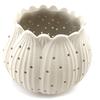 Les Trésors De Lily [J0540] - Beige 'Leaf' Candle Holder
