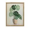 Monstera In a Pot Monstera In a Pot, 30X40 Cm, Gold Aluminum Frame, 230 Gsm Matte Paper