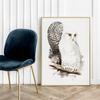 Poster Owl Owls Vintage