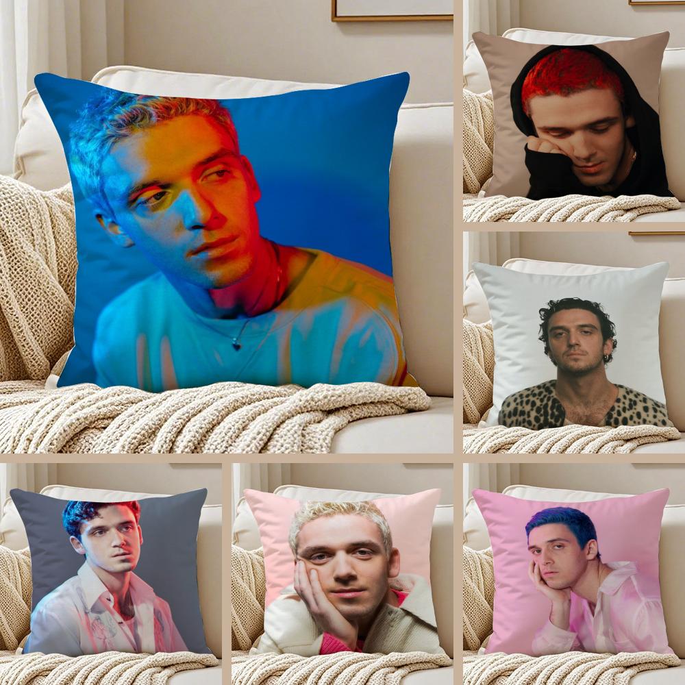 Singer LLauv Cushion Cover Pillowcase Antidustmite living Room Sofa Decor Cushion Room