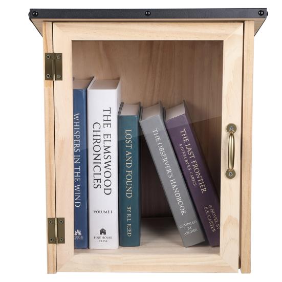 Outdoor Book Box Library Box Little Free Kit Neighborhoods Community and Schools Sharing Book Literature Newspapers