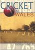 Книга Cricket In Wales : An Illustrated History