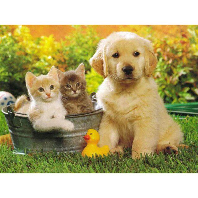 Собака DIY 5D алмазная живопись полная круглая дрель мультфильм животное Алмазная вышивка набор для вышивки крестом горный хрусталь мозаичная Наклейка на стену