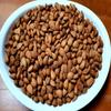 Apricot Seeds Domestically Produced (200g) Available for Wholesale, 200g, 1 Piece