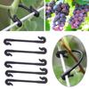 25 шт., садовые растения, лозы, фиксированные зажимы, завязанные пряжки, крепежный крючок для киви, винограда, огурцов, стеблей томатов, крепежные приспособления, прививки