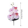 Cloth Simulation Phalaenopsis Vivid Fake Butterfly Orchid Artificial Moth Orchids  Bedroom