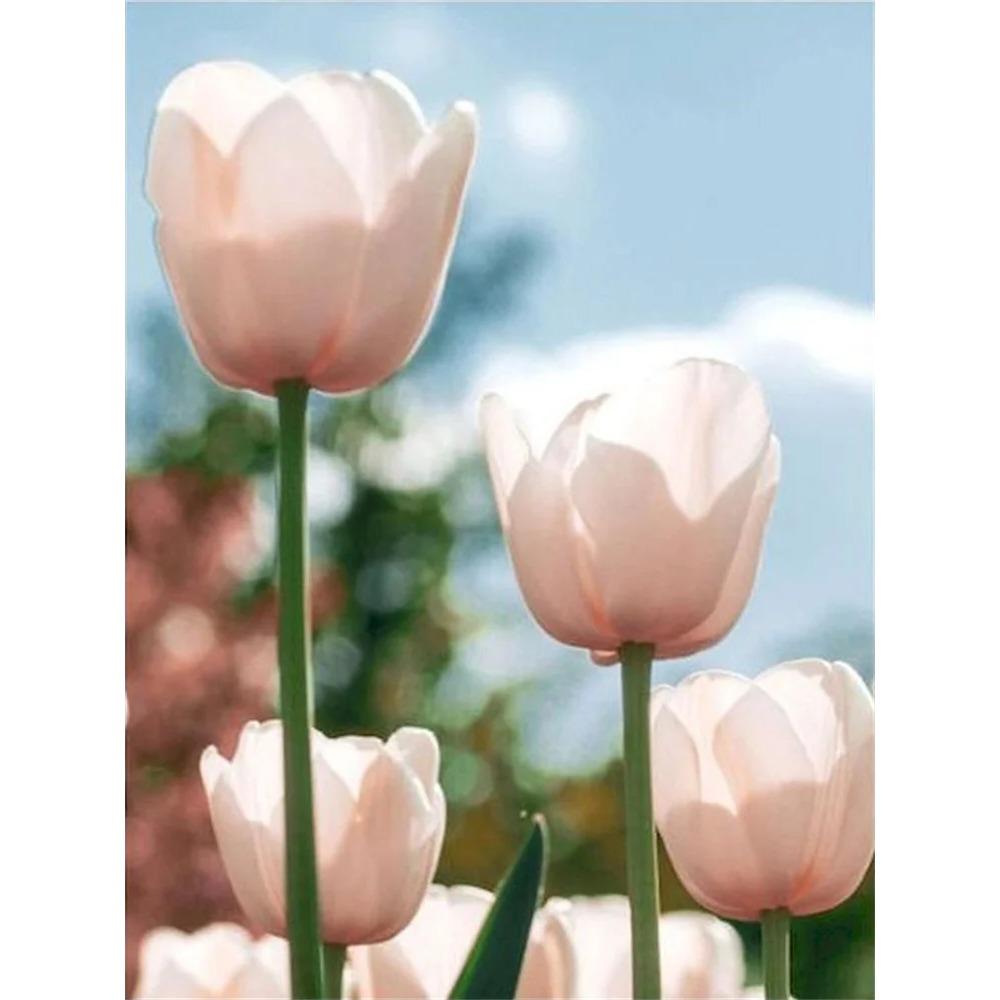 Алмазная картина, полная дрель, белый волк, цветок, животное, алмазная живопись, ручная работа, пейзаж, сделай сам, алмазная мозаика, картина, украшение дома