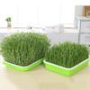 Home Garden Nursery Paper Hydroponic Tray Sprout Pot Plant Box Grow Nursery Pots Seed Sprouter Tray