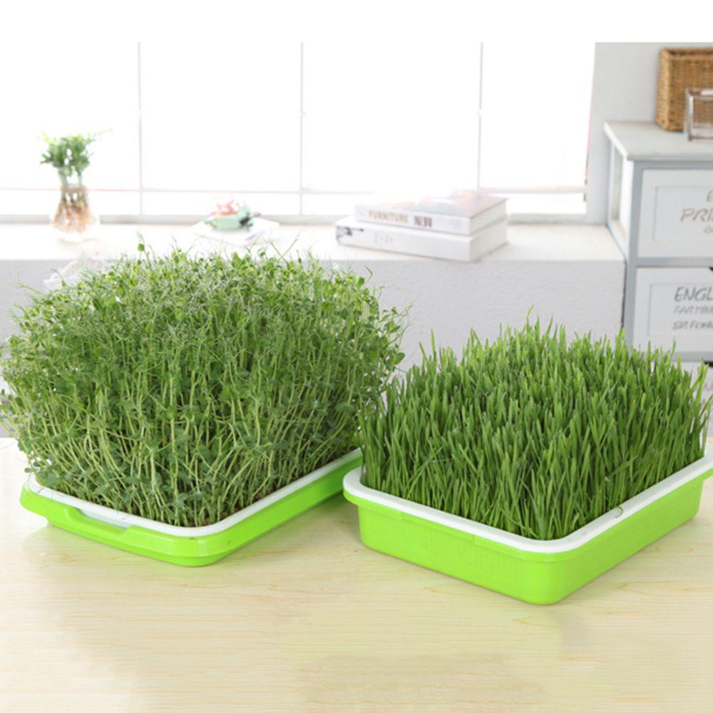 Home Garden Nursery Paper Hydroponic Tray Sprout Pot Plant Box Grow Nursery Pots Seed Sprouter Tray