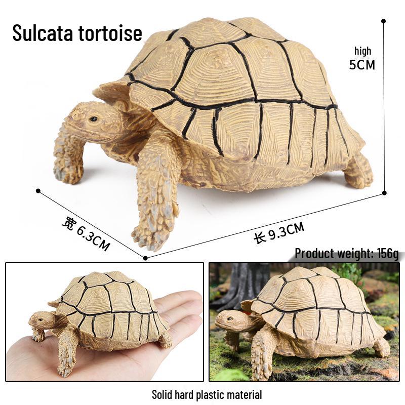 Children's Cognitive Marine Animal Models: Sea Turtle and Tortoise Toys