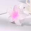 Seaside Vacation Hair Clip Back Of The Head With Multi-Color Optional Bauhinia Clip