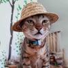 Гавайская вечеринка шляпа для кошки винтажная регулируемая лямка модная соломенная шляпа от солнца шляпы для домашних животных костюм для кошки собаки аксессуары для одежды для домашних животных