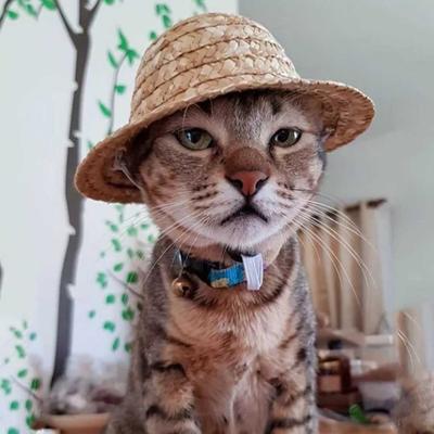 Гавайская вечеринка шляпа для кошки винтажная регулируемая лямка модная соломенная шляпа от солнца шляпы для домашних животных костюм для кошки собаки аксессуары для одежды для домашних животных