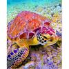 Алмазная мозаика "Черепаха на морском дне"
