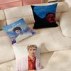 Singer Troye Sivan Blue Neighbourhood Pillow Case Suitable For Bedrooms Living Rooms Cars Home Decoration