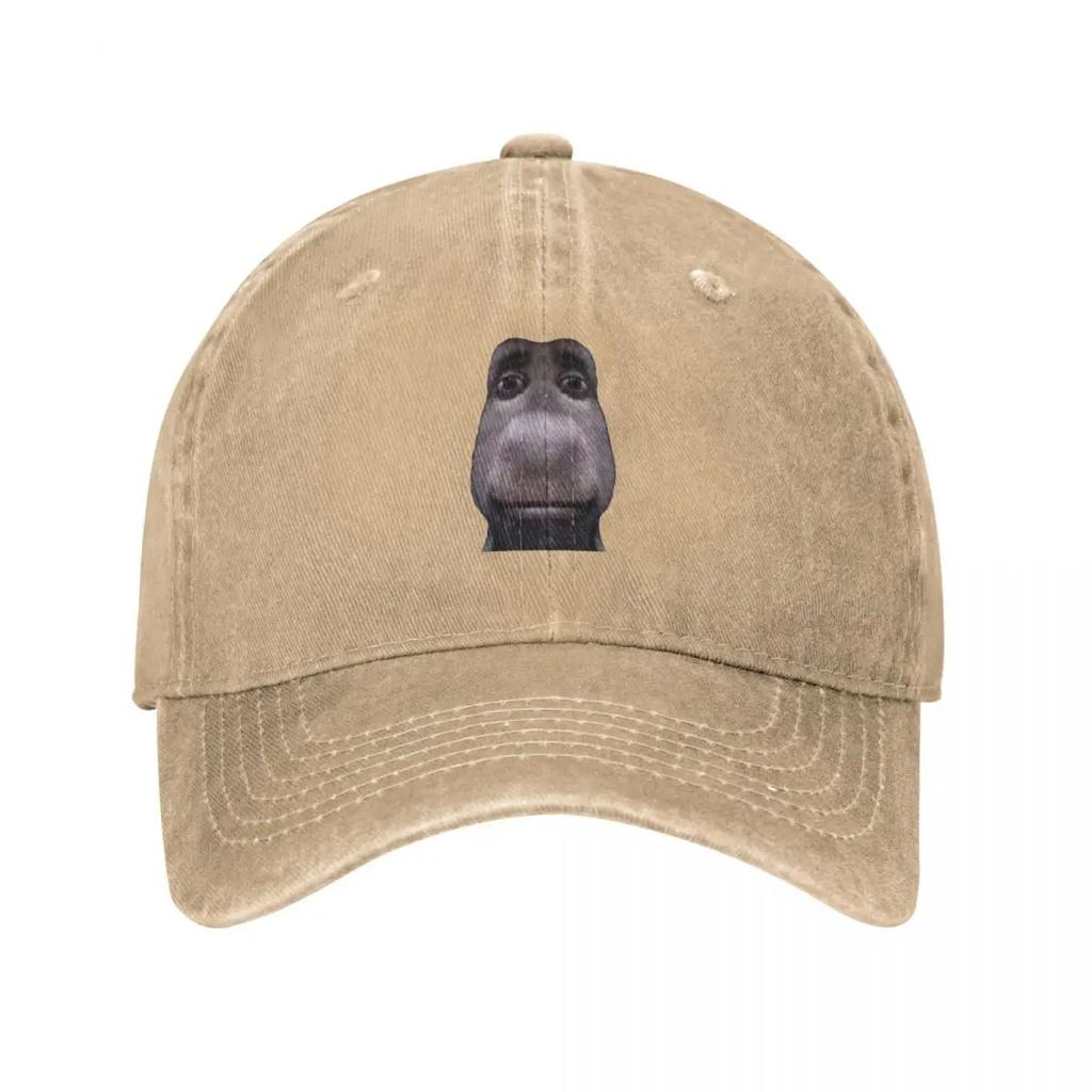 Donkey stares into your soul Baseball Cap Beach Outing beach hat Custom Cap Kids Hat Baseball Unisex Womens