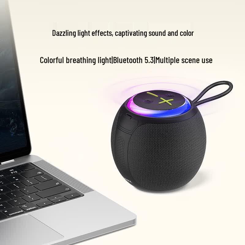 Портативная Hi-Fi Bluetooth-колонка Ruisi LY10 (Китайская версия)