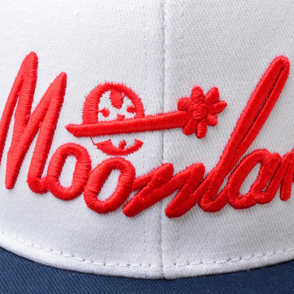 Northwood Кепка Snapback с плоскими полями и буквами HiP Hop для мужчин и женщин Бейсбольная кепка Солнцезащитная кепка Snapback в стиле хип-хоп Кепка Snapback унисекс для активного отдыха Кепка для дальнобойщиков