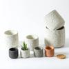 Nordic Cement Flowerpot Simple Personality Creative Imitation Volcanic Stone Indoor Succulent Potted Green Plant Flowerpot