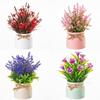 Мини Искусственные Цветы в Горшках Вечнозеленое Искусственное Растение Горшечные Украшения Настольный Декор Бонсай Искусственный Цветок Бонсай Декор для Дома и Сада