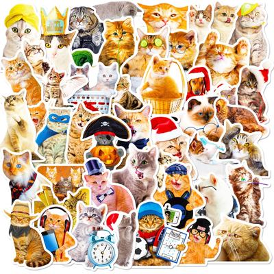50 Реалистичных Наклеек с Котами Новые Милые Наклейки с Мультяшными Котами Граффити Наклейки для Блокнотов Палетки