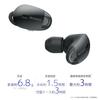 Sony WF-1000X Wireless Noise Cancelling Earbuds: Alexa Enabled, Bluetooth, with Mic, 2017 Model, Black WF-1000X B