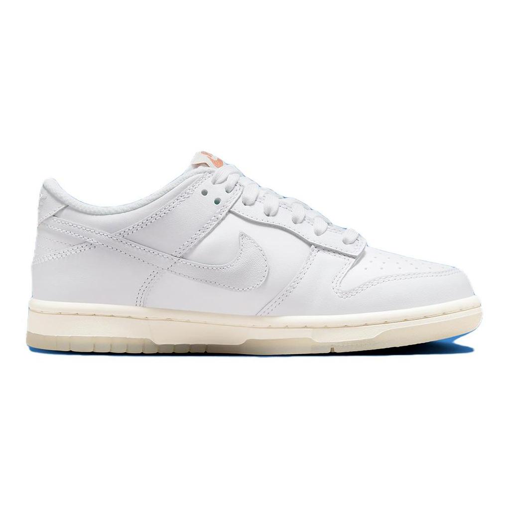 Nike Детские кроссовки Dunk Low PS с радужным кружевом и галочкой, белые многоцветные, темно-пони, FN4862-100