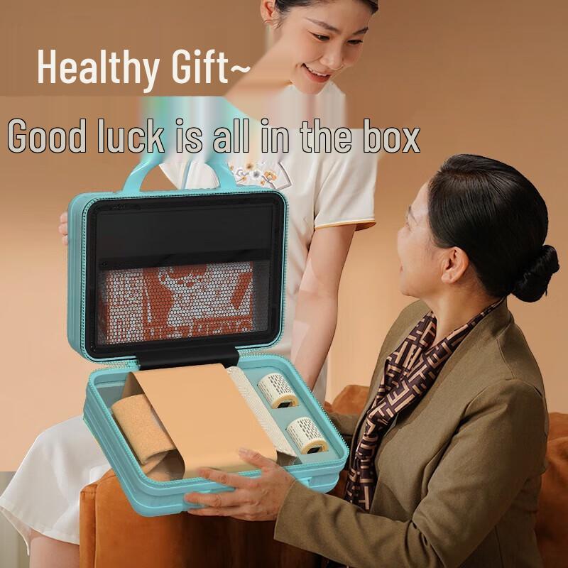 Hezheng Smart Lumbar Support Massager