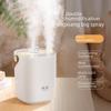Silent Portable Double Spray Humidifier for Home and Office
