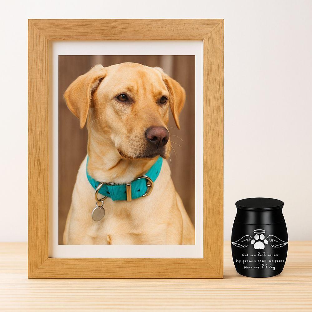 Waterproof Mini Pet Ashes Box Dustproof Pet Cremation Urn  for Cats Birds Hamster Dogs