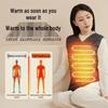 Keepfit Умный жилет с подогревом, штекер CN (адаптер в комплекте)