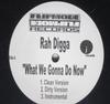 12-дюймовая пластинка RAH DIGGA - What We Gonna Do Now NONE J Records 2001 US Рэп и хип-хоп/R&B Б/у