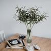 5 шт. 72 см искусственная оливковая ветвь ложная зеленая ветвь с фруктами подходит для семейной свадебной цветочной композиции офисное внутреннее украшение