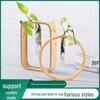 Nan Bamboo Glass Vase: Modern Minimalist Hydroponic Plant Container for Home, Office, Desk, or Wall Decor.