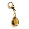 [L1263] - Brown Gold Plated 'Linda' Charm Pendant