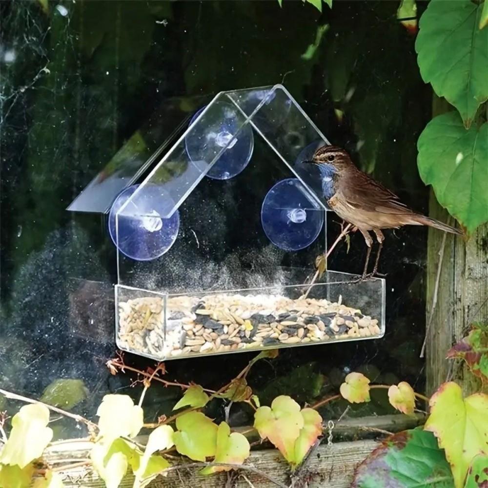 Reusable Tray Suction Cup Bird Feeder Window Type Squirrel Food Container Outdoor