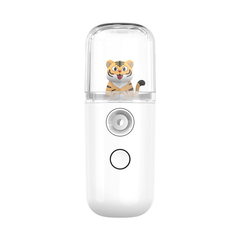 Portable Mini Beauty Skin Care Tools USB Rechargeable Mist Facial Sprayer Steamer Humidifier Face Moisturizing Nebulizer