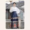 Ming Dynasty Inspired Hanfu Set Womens Embroidered Inner Collar Top Horse-Face Skirt Winter Daily Wear