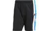adidas Шорты Originals Adicolor Adibreak IV5339