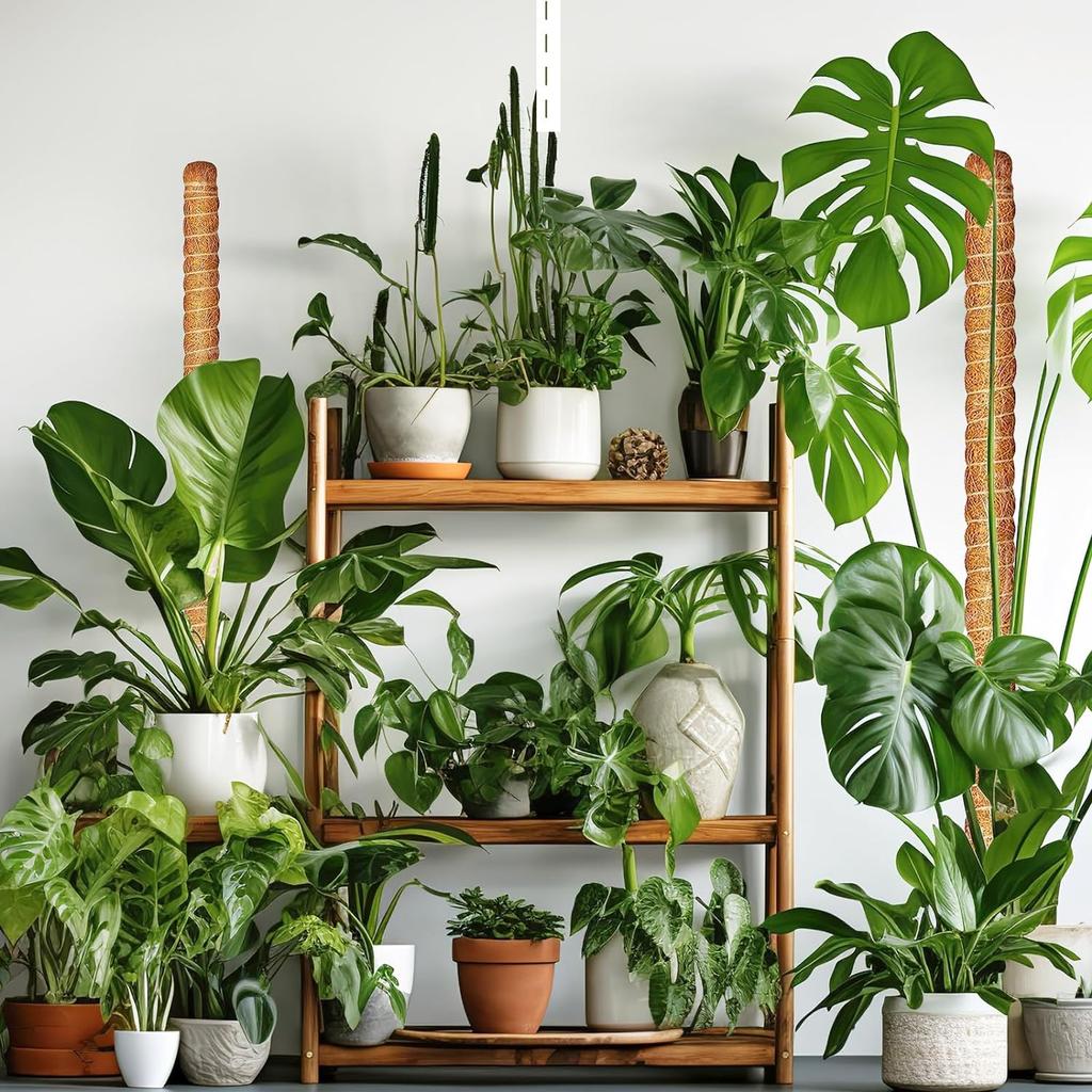 Опора для растений из мха - решетка для растений Опора для растений из мха для растений Monstera - Опора для вьющихся растений из мха