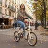MAXTRON Smart-20 20-inch Folding Electric Bicycle,equipped with a 36V 250W motor,offering a maximum range of up to 40 kilometers.