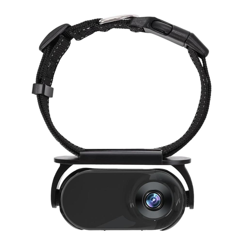 Ошейник с камерой для кошек и картой памяти 8 ГБ, беспроводная маленькая спортивная камера с возможностью записи видео 1080P высокой четкости