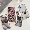 Милый Мопс Собака Чехол Для iPhone 15 16 13 12 Mini 11 14 Pro Max 7 8 Plus X XR XS Max Чехол для Телефона