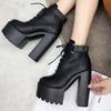 Fashion Black Platform Boots Women Zipper Autumn High Heels Shoes Lace Up Ankle Boots Russian Shoes